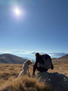 E-Wurf vom Bergheimer Hof
