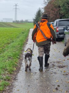 D-Welpen v. Bergheimer Hof